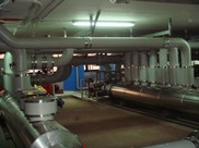 DSC05706-705x529.jpg