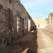 DSC06722-705x529.jpg