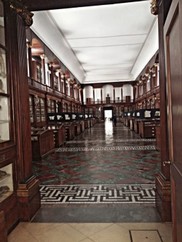 universitadinapoli-francescodipalo004-529x705.jpg