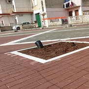 20191114_122344.jpg